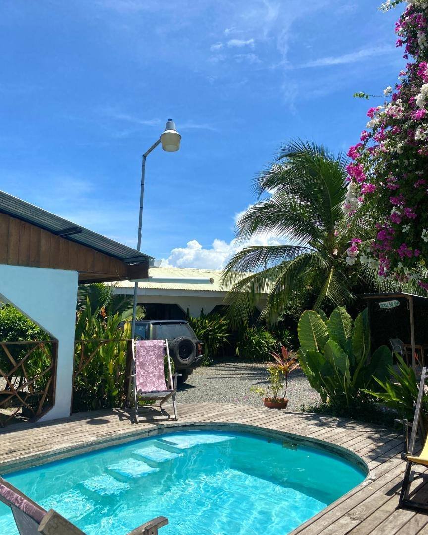 Cabinas Cahuita: outdoor pool among palm trees and flowers